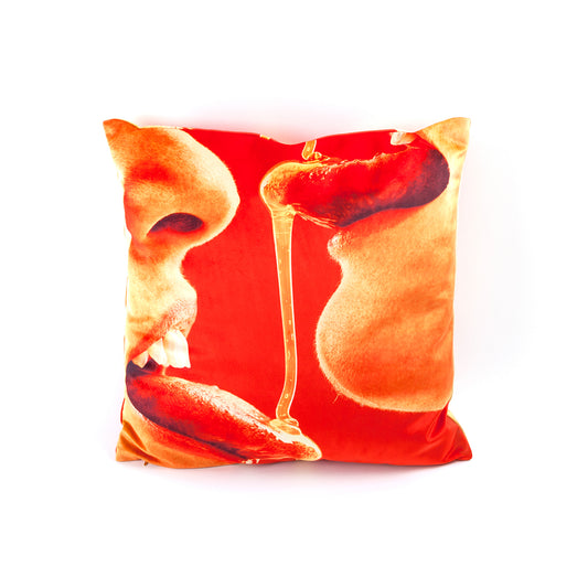 Honey Cushion Cover - Red