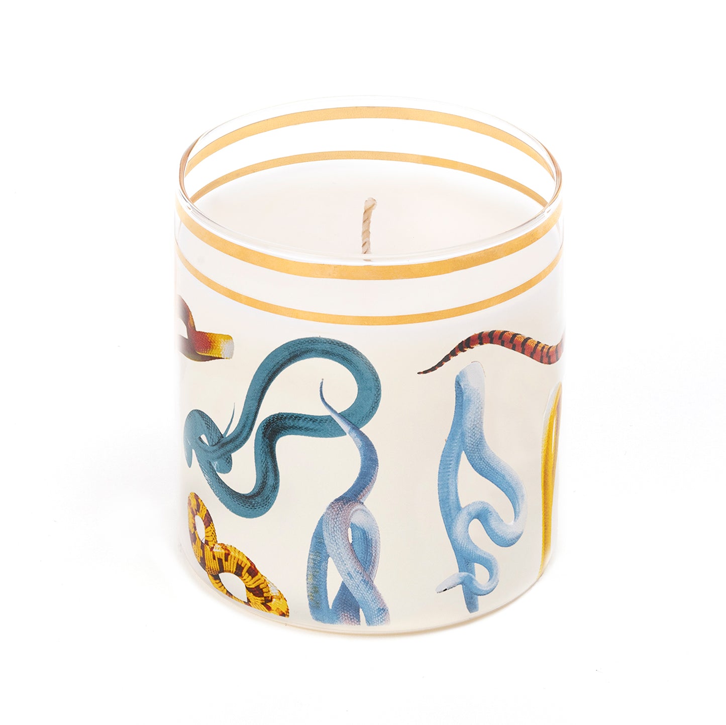 Snakes Glass Candle
