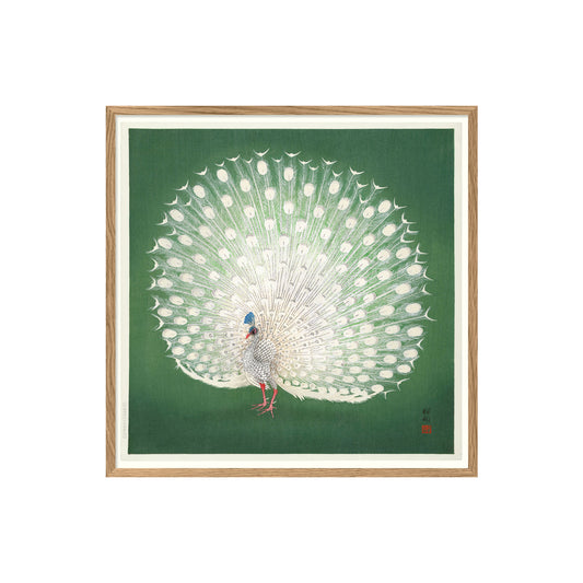 No. 4832 Peacock on Green - 61cm x 61cm with Oak Frame
