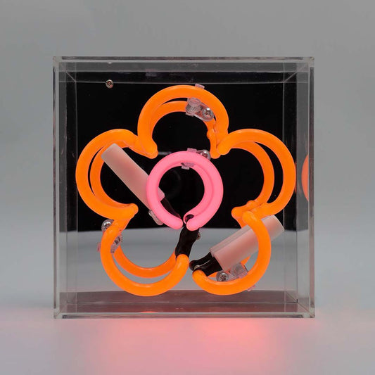 Daisy Mini Glass Neon Light - Orange