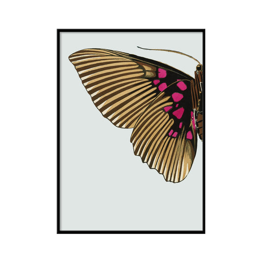 No. 8728L Gold & Fuchsia Butterfly Left - 21cm x 30cm with Black Frame