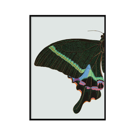 No. 8729L Green Spotted Butterfly Left - 21cm x 30cm with Black Frame