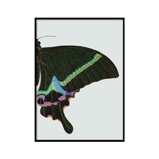 No. 8729R Green Spotted Butterfly Right - 15cm x 21cm with Black Frame