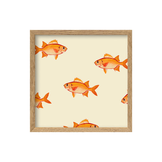 No. SQ193 Small Orange Fish - 15cm x 15cm with Oak Frame