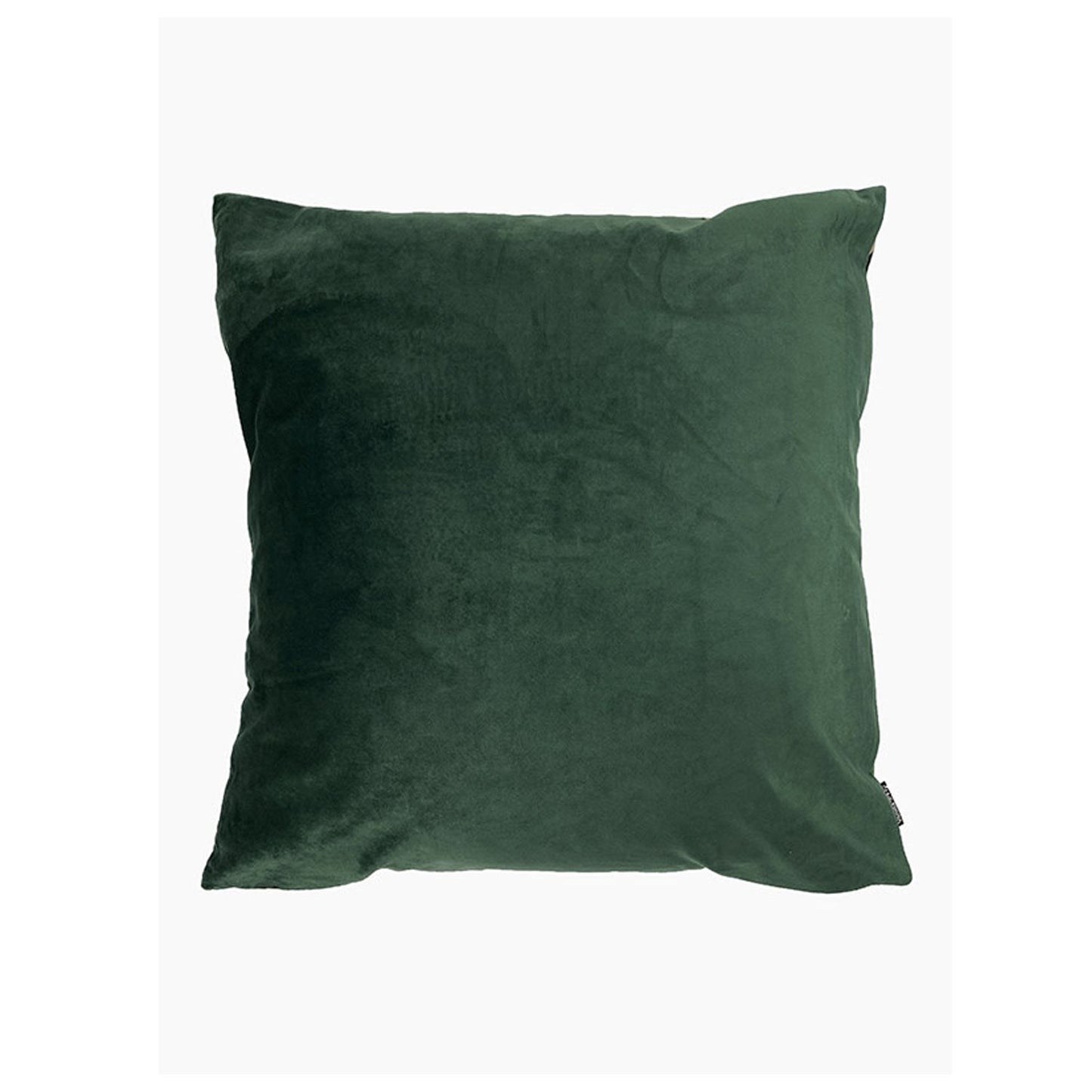 Fern - Velvet Cushion