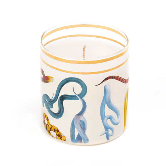 Snakes Glass Candle