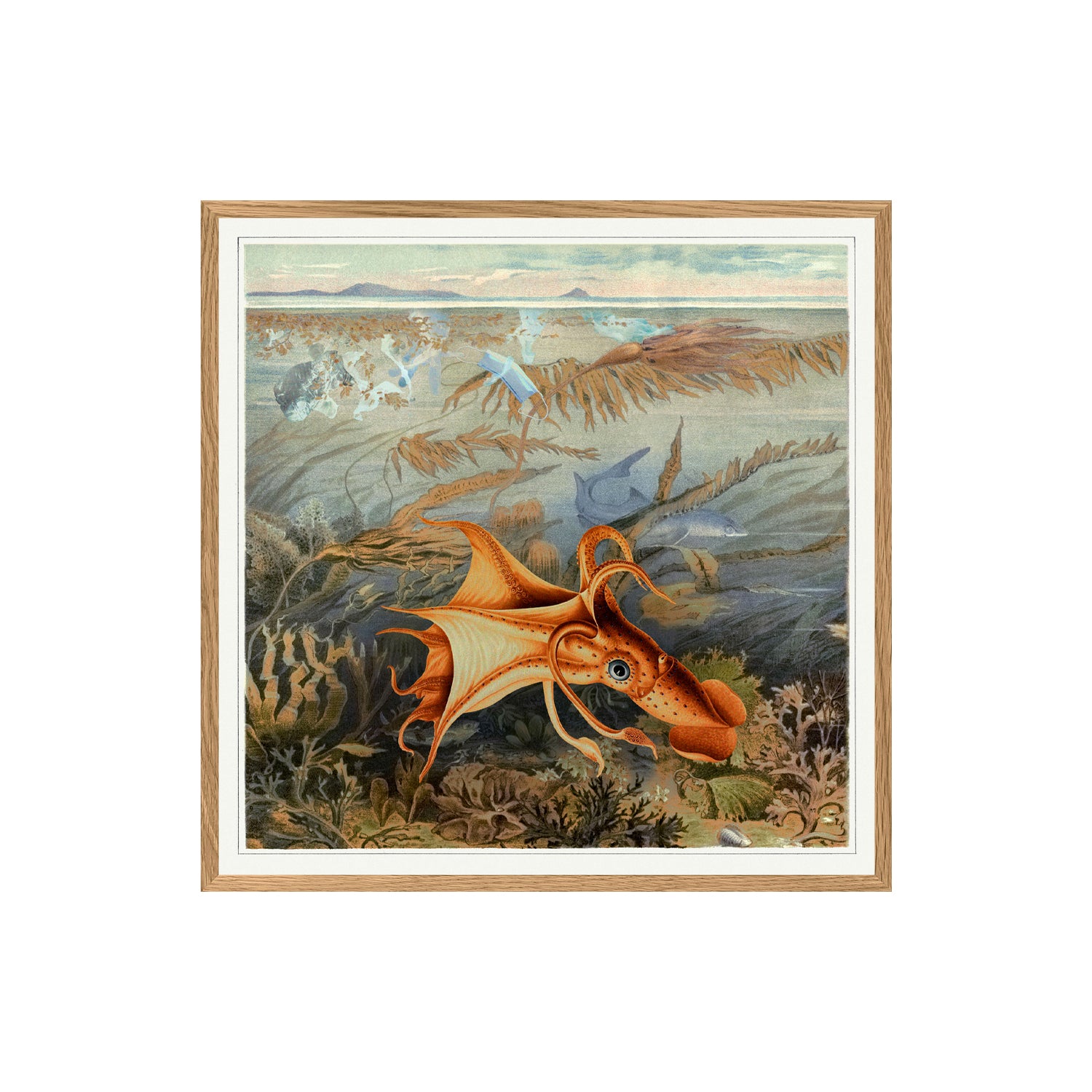 No. 2205 Octopus - 61cm x 61cm with Oak Frame