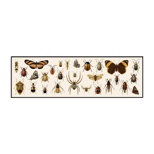 No. 5500 Butterflies, Beetles & Spiders - 20cm x 60cm with Black Frame