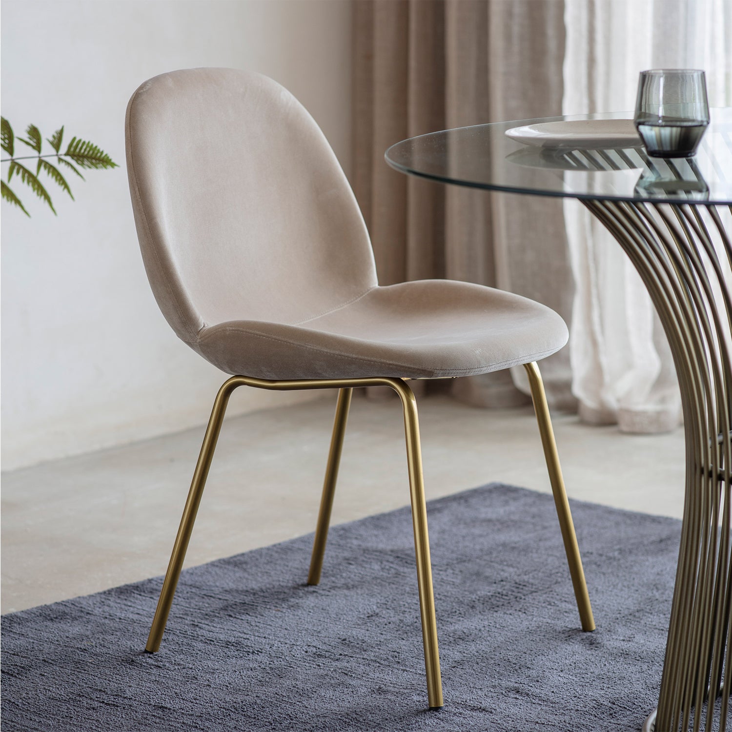 Levi Dining Chair - Cream Velvet & Brass