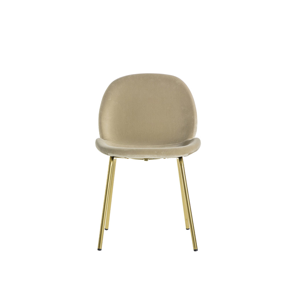 Levi Dining Chair - Cream Velvet & Brass