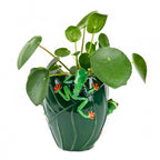 Tree Frog Flower Vase