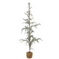 Vita Tree - Green