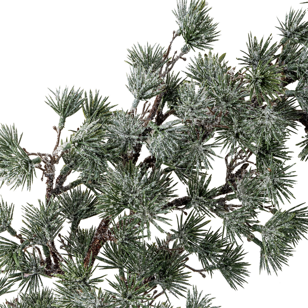 Cedar Wreath - Green