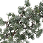 Cedar Wreath - Green
