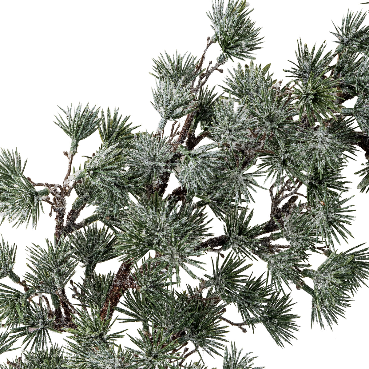 Cedar Wreath - Green