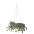 Hanging artificial Christmas garland with pine cones on a white background
