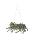 Hanging artificial Christmas garland with pine cones on a white background