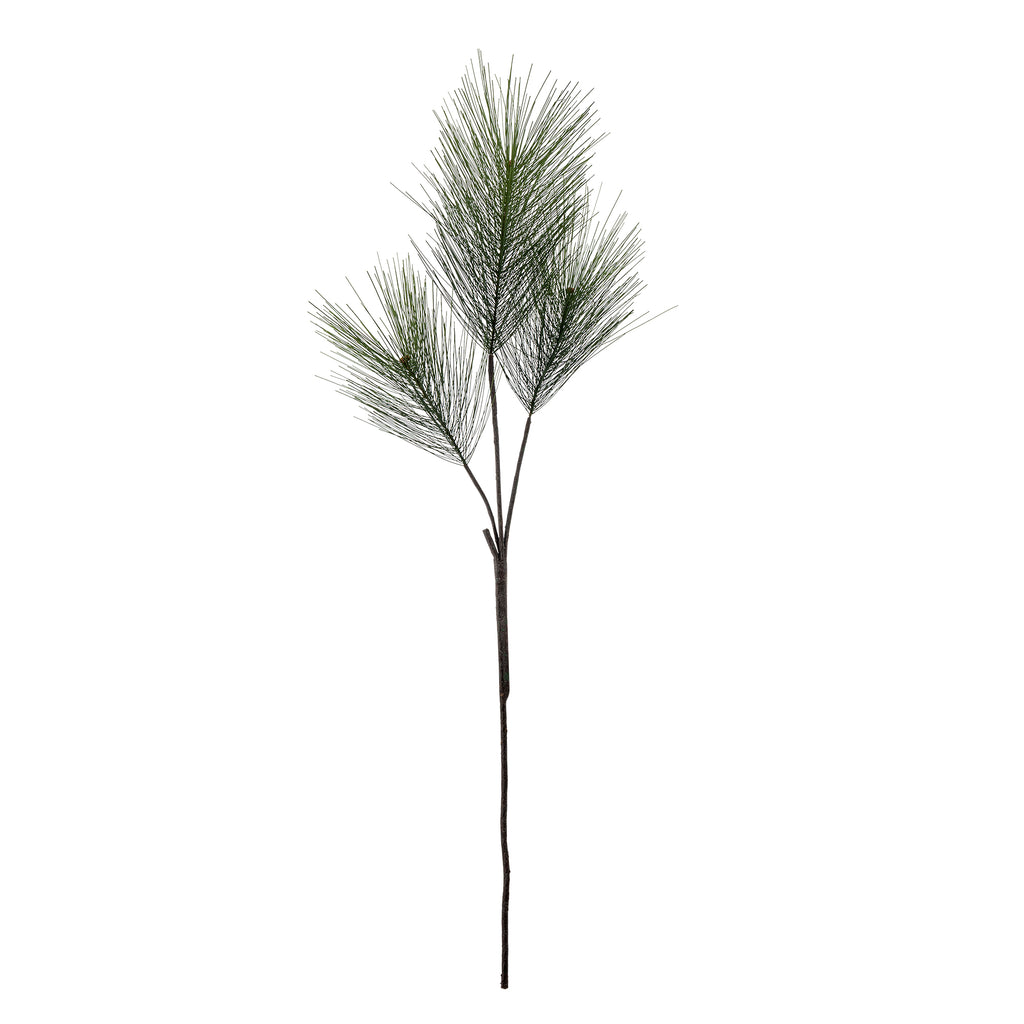 large-pine-stem-green