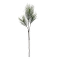 large-pine-stem-green