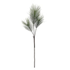 large-pine-stem-green