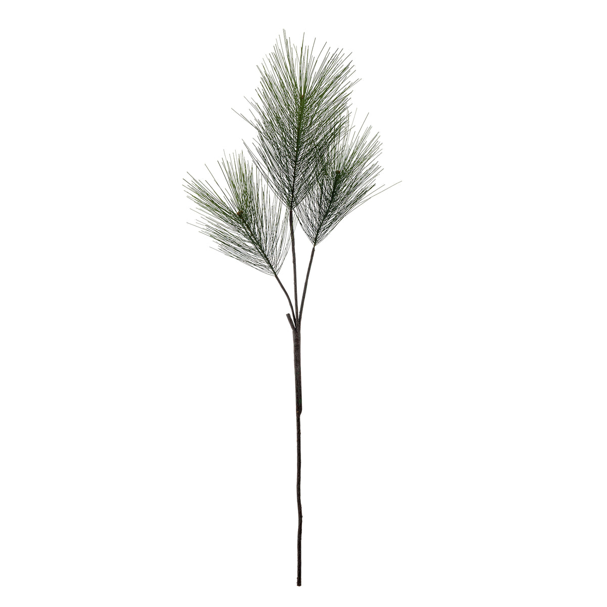 large-pine-stem-green