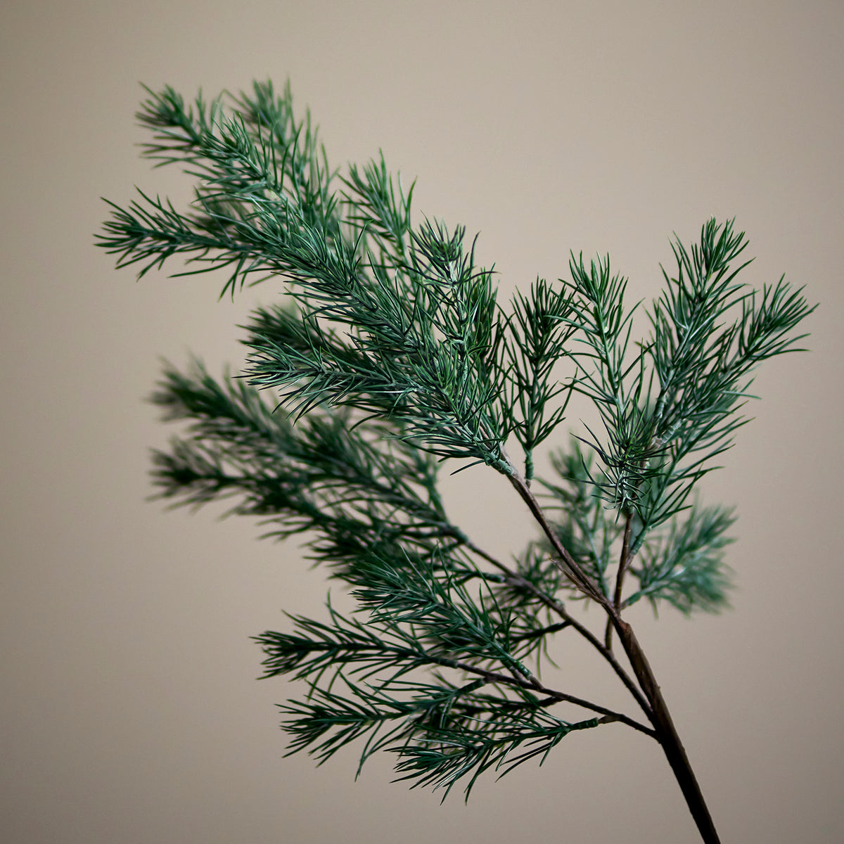 Medium Pine Stem - Green