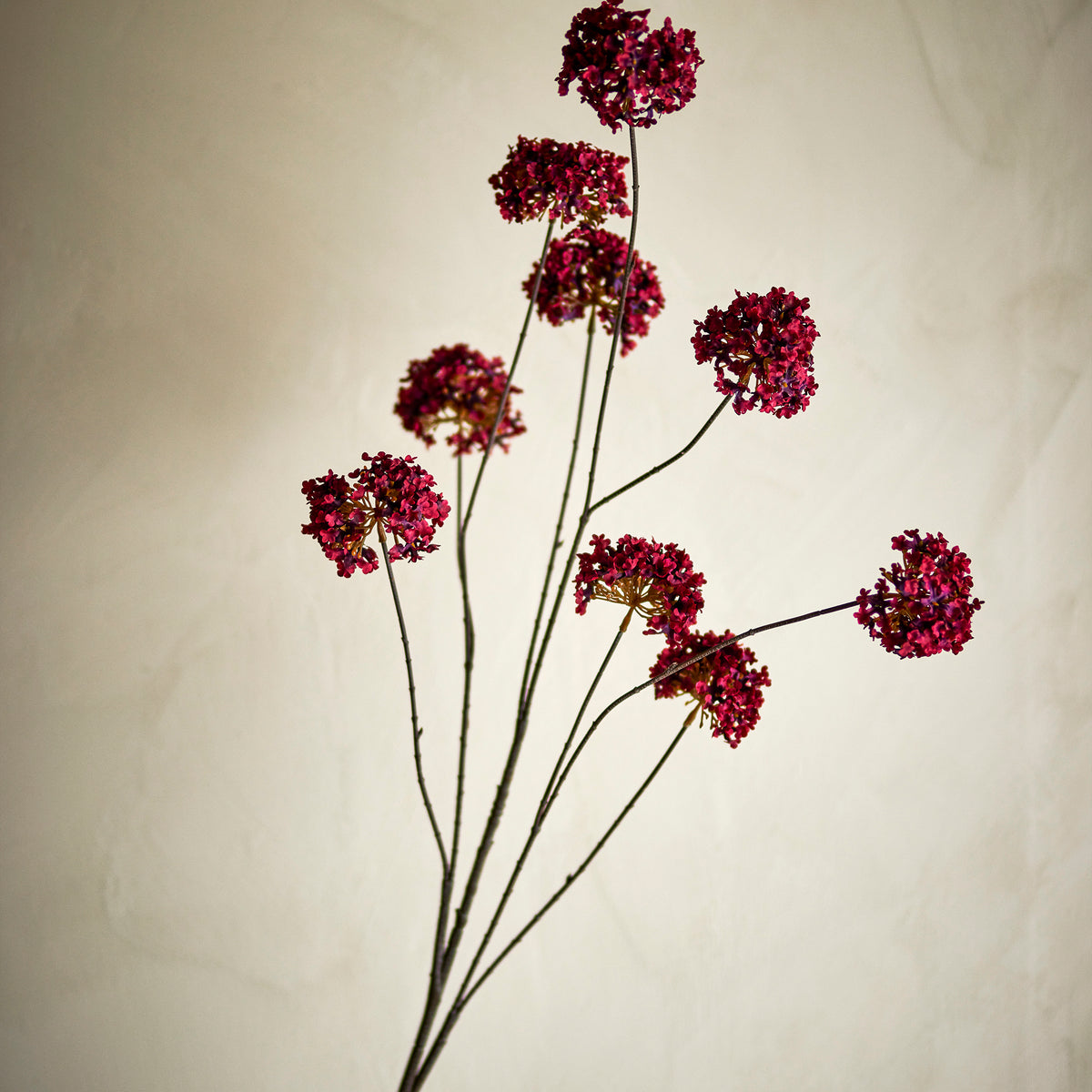 Hydrangea Stem - Red