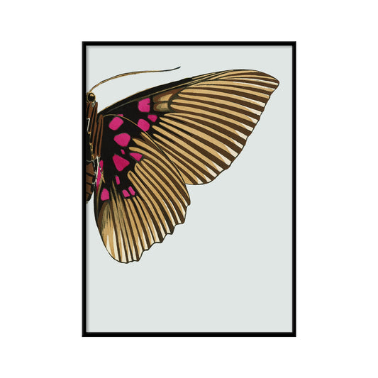 No. 8728R Gold & Fuchsia Butterfly Left - 21cm x 30cm with Black Frame