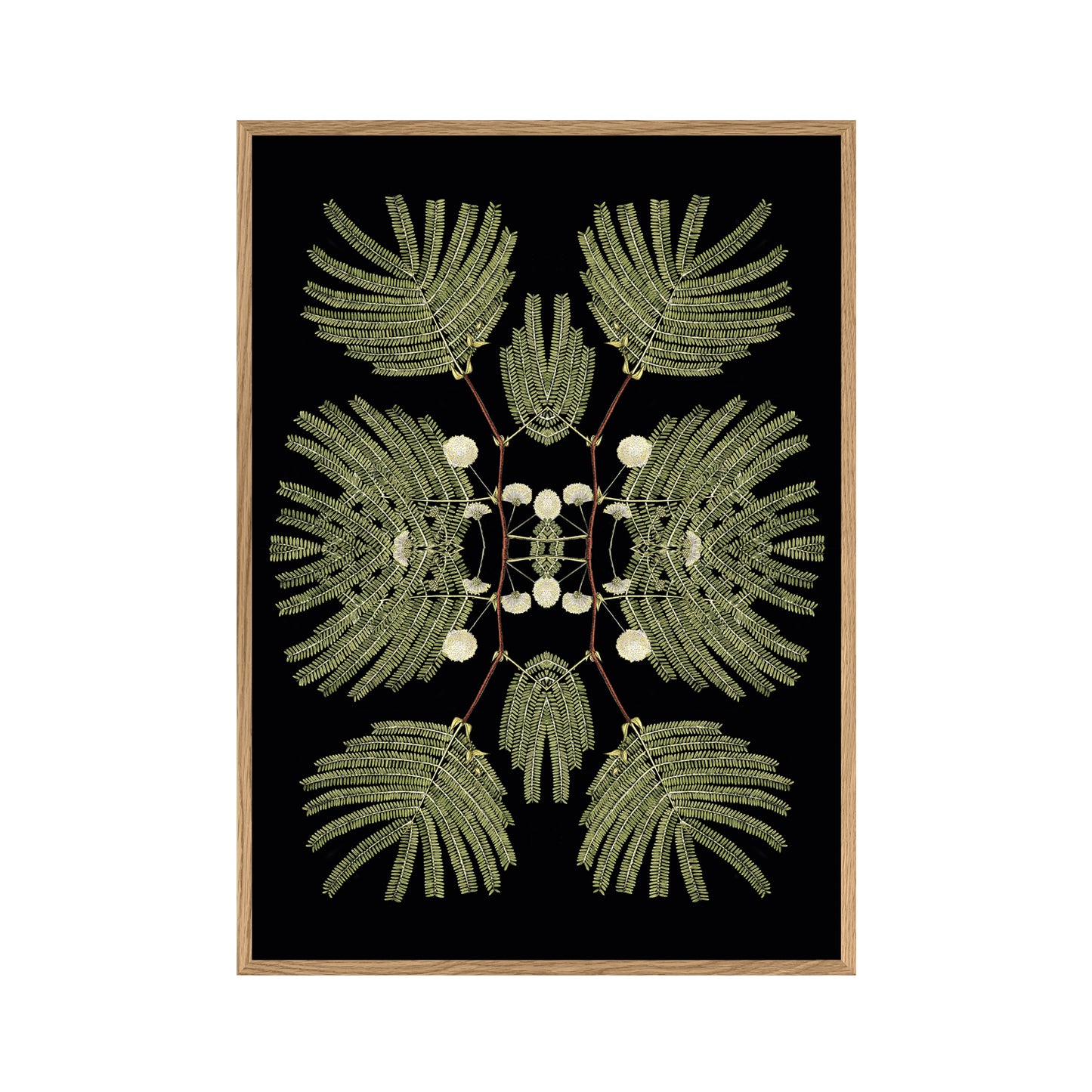 No. 8903 Botanical Reflection Ltd Edition - 30cm x 40cm with Oak Frame