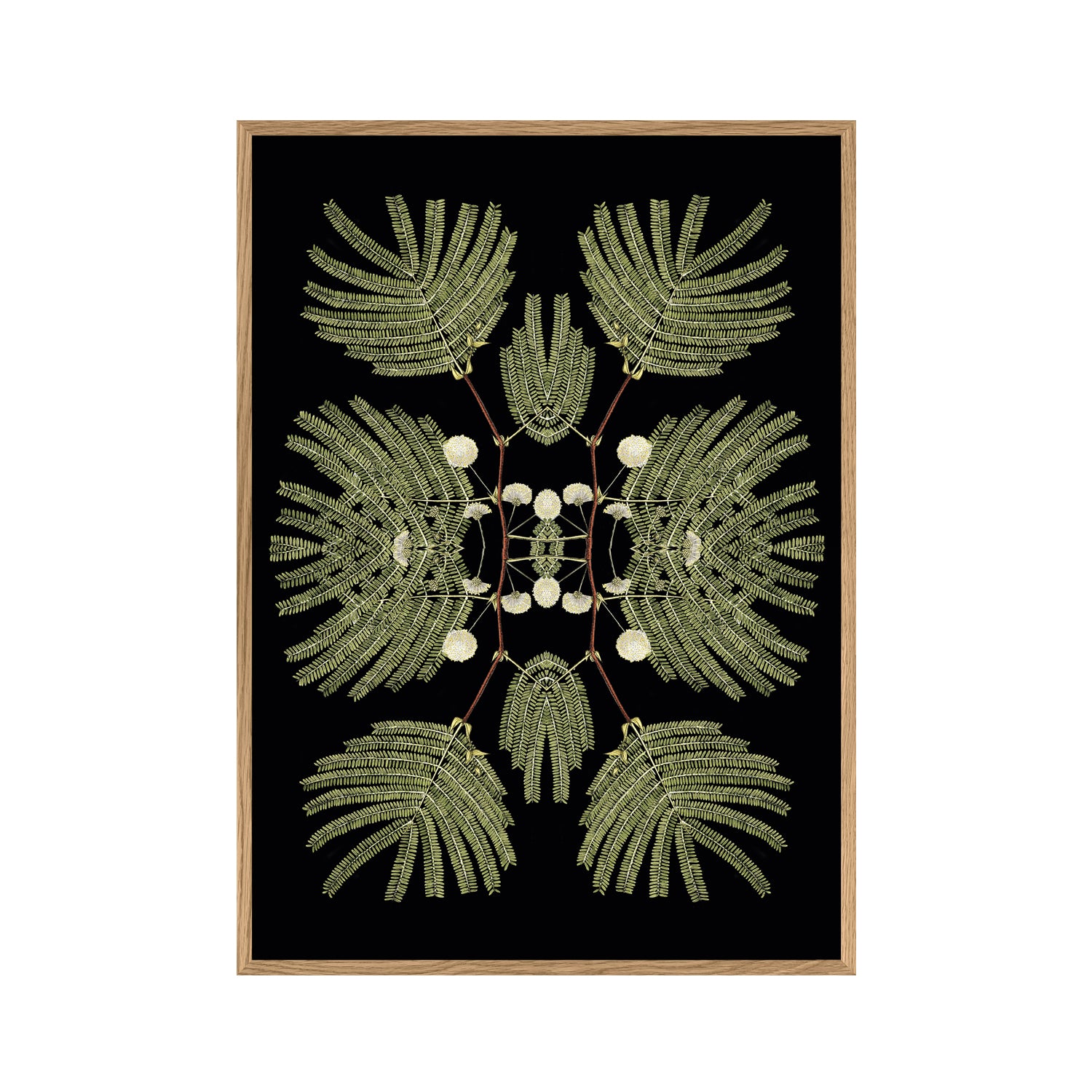 No. 8903 Botanical Reflection Ltd Edition - 30cm x 40cm with Oak Frame