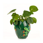 Tree Frog Flower Vase