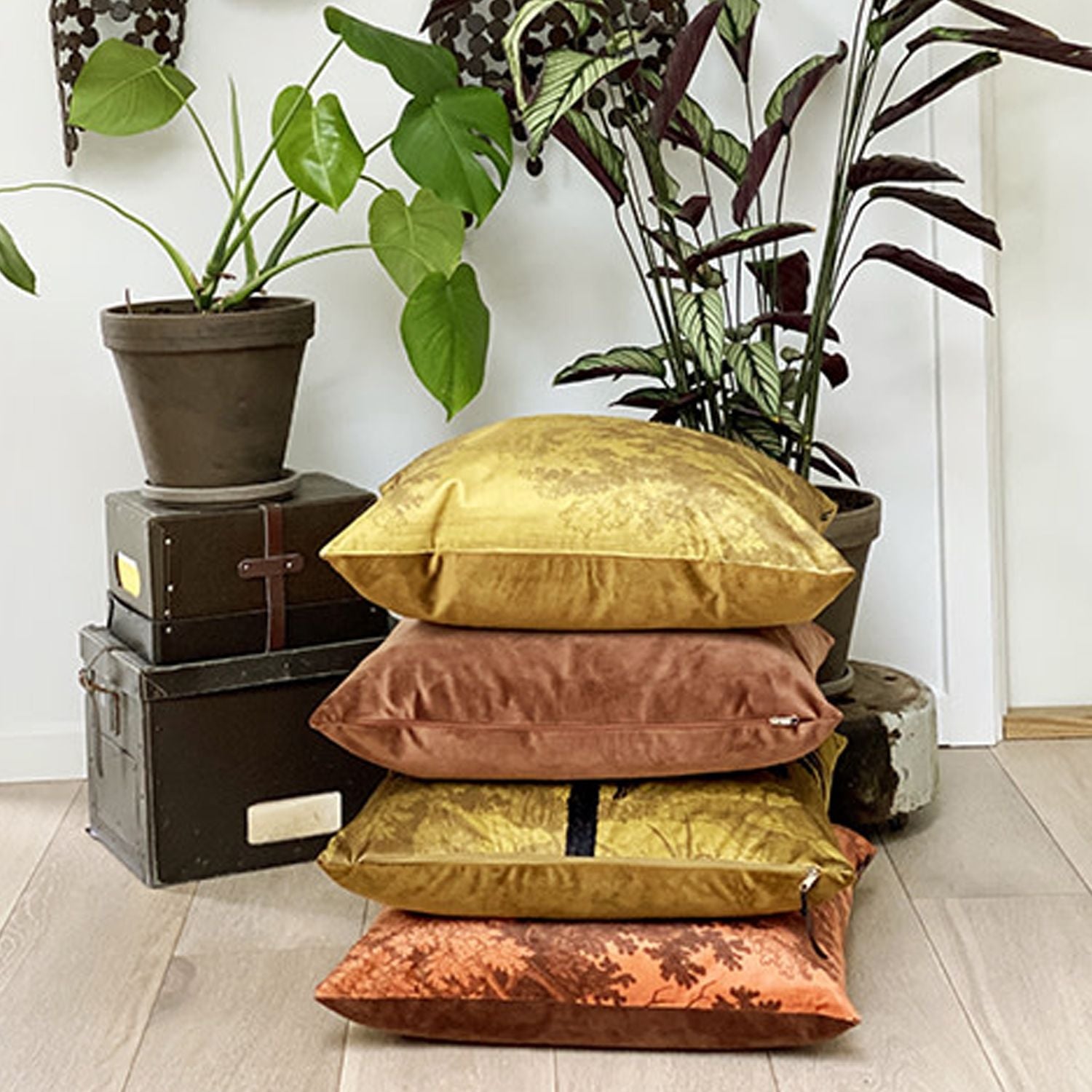 Roomset - Orange Woods - Velvet Cushion