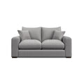 Gray Arden 2 Seater sofa with four cushions on a white background