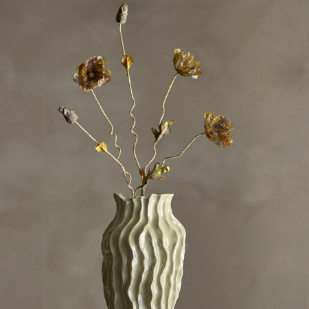 Detail of plant structure showing brown stems and leaf arrangement