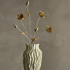 Detail of plant structure showing brown stems and leaf arrangement
