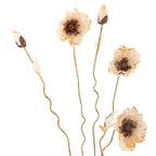 Close-up of dried natural flowers showing fine stem and petal detail
