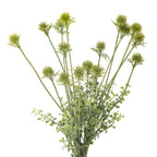 Close-up of green flowers showing organic detail and structure