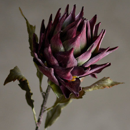 Close-up of a purple flower bud with green leaves on a blurred background