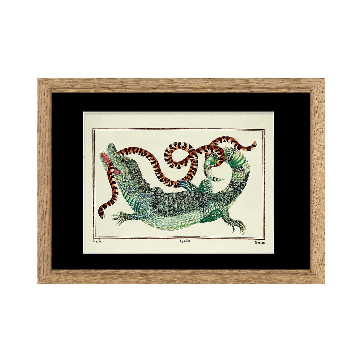 No. D010 Crocodile & Snake - 21cm x 30cm with Oak Frame.