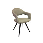 Delphine Dining Chair, Set Of 2 - Misty