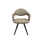 Delphine Dining Chair, Set Of 2 - Misty