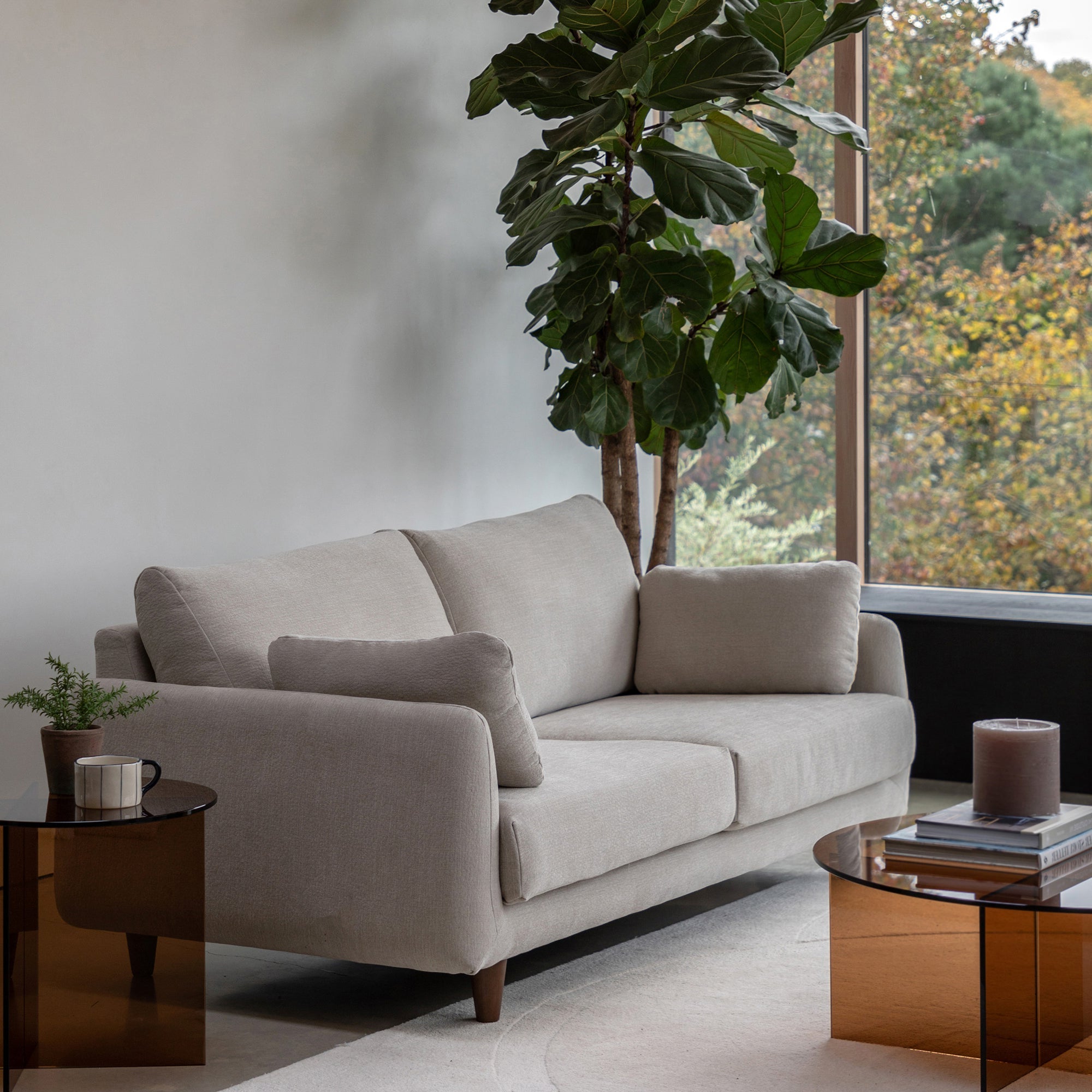 Gray sofa in a modern living room with a large window and indoor plant.