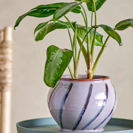 Elegant rose-themed planter with floral pattern.
