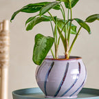 Elegant rose-themed planter with floral pattern.