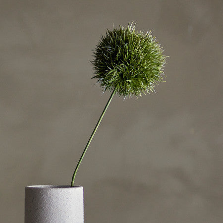 Green flower in a gray vase against a plain background