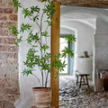 Potted plant on a wooden stand against a brick wall with a blurred interior background