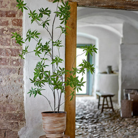 Potted plant on a wooden stand against a brick wall with a blurred interior background