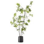 Green plant in a stylish pot, perfect for adding natural texture and calming vibes to any room.