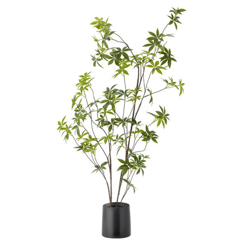 Green plant in a stylish pot, perfect for adding natural texture and calming vibes to any room.