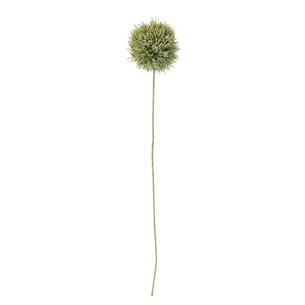 Green stem on a white background
